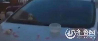 青岛爆料最新视频,揭秘城市新动态与神秘事件  第3张