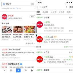 今日焦点爆料小程序下载,揭秘热门事件，下载小程序一网打尽  第2张